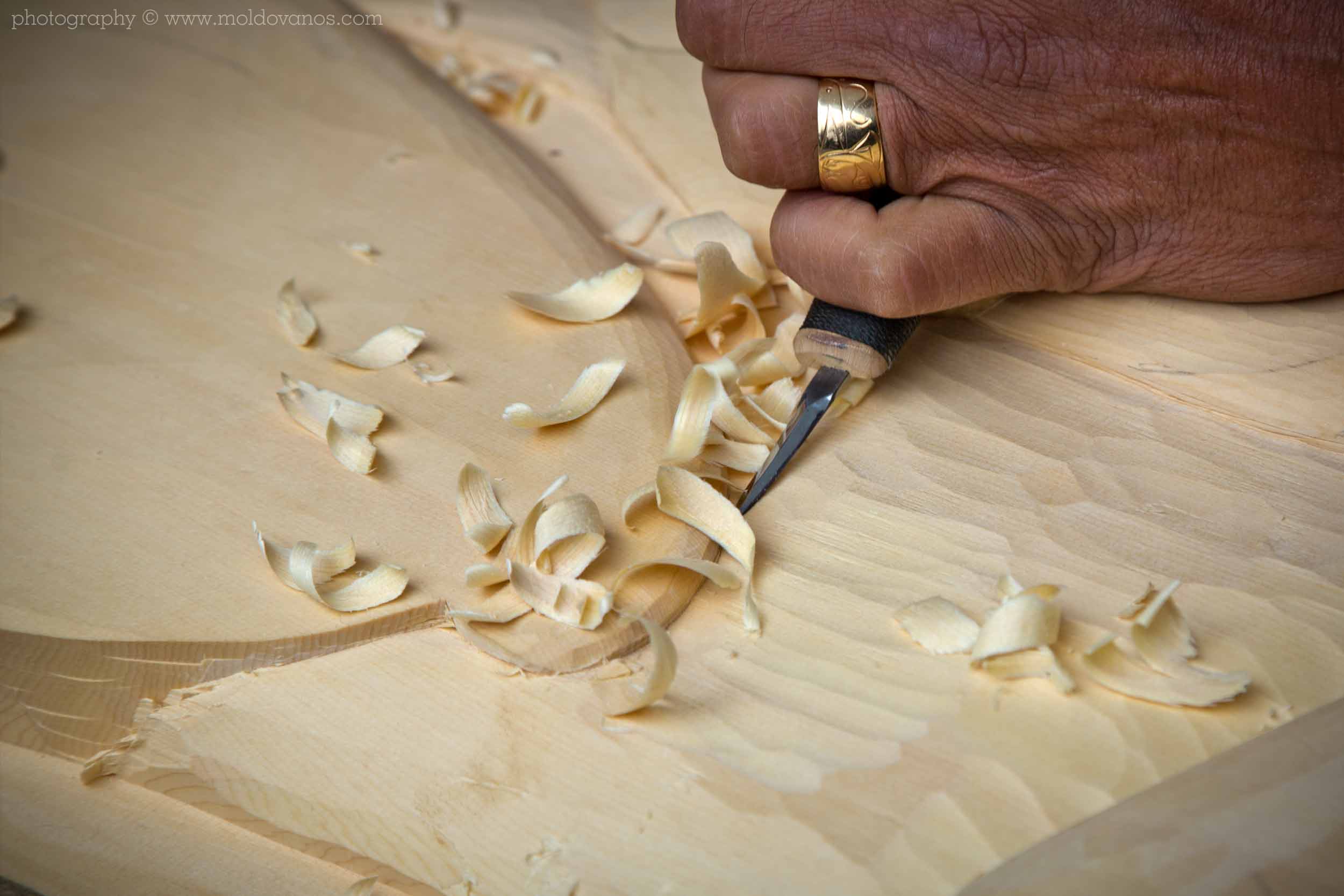 Artists Rick Harry- Artists for Conservation- Event Photography by Paul Moldovanos © moldovanos.com