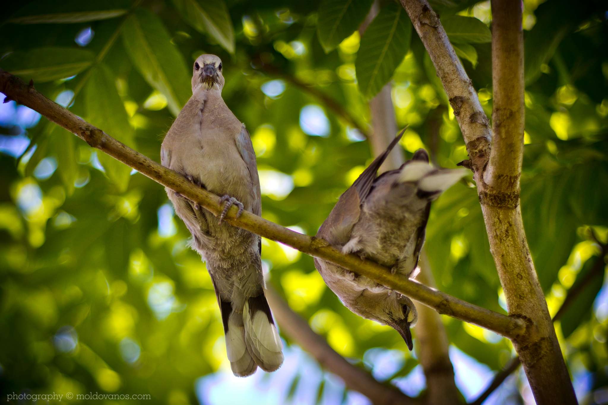 Nature Photography - Photography by Paul Moldovanos © moldovanos.com
