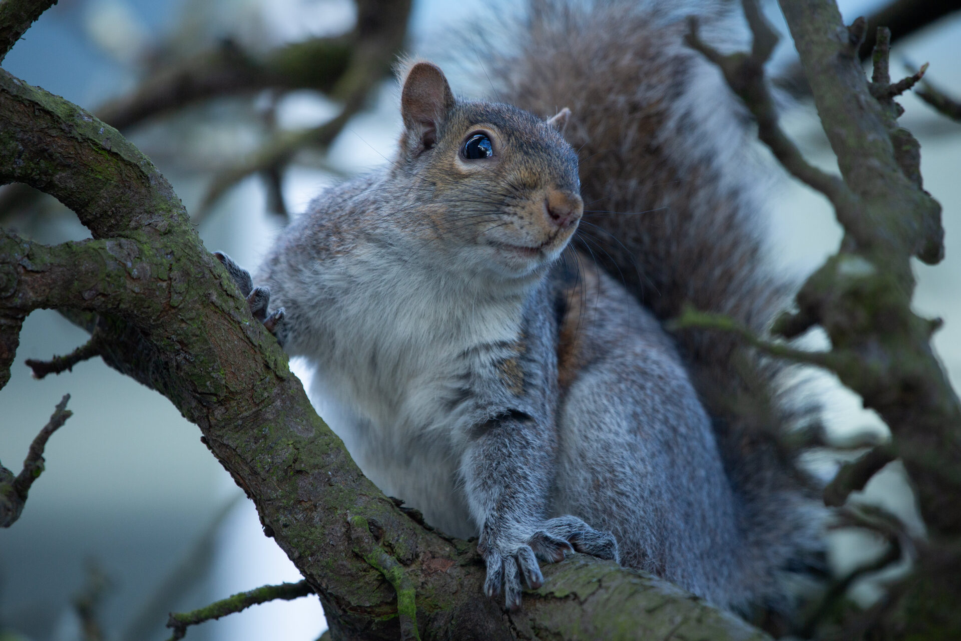 Photography by Paul Moldovanos © moldovanos.com